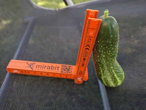 Mirag&uuml;rkli