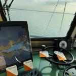 Sommerbild Friedrichshafen, 15.08.2025