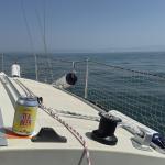 Sommerbild Bodensee, 9.8.2025