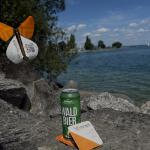 Sommerbild Romanshorn, 23.07.2025