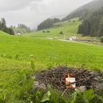 Sommerbild Davos, 24.07.2025