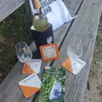 Sommerbild Stein am Rhein 10.08.2025